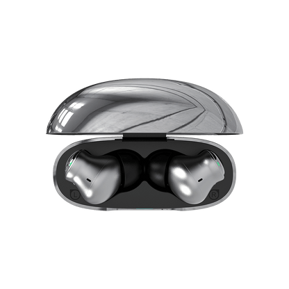 Pro Earbuds